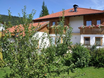 Apartment 2-Raum-Appartement - Outdoor photo 15