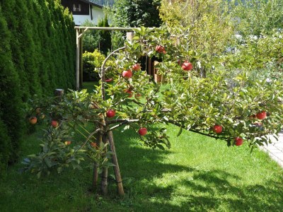 Apartment 2-Raum-Appartement - Outdoor photo 16