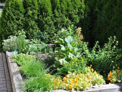 Apartment 2-Raum-Appartement - Outdoor photo 17