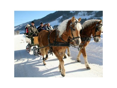 Holiday room Dreibettzimmer mit Bad, WC - ÜF - Outdoor photo 44