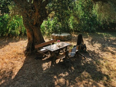 Holiday house Villa MÃ»rier - Outdoor photo 5