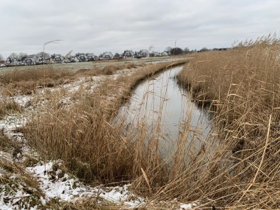 Holiday house Achternkieker 1 - Environment photo 39
