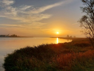 Holiday house Achternkieker 1 - Document photo 44