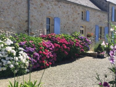 Holiday house Barn Owl (Schleiereule) - Outdoor photo 3