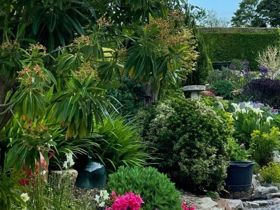 Holiday house Barn Owl (Schleiereule) - Outdoor photo 6
