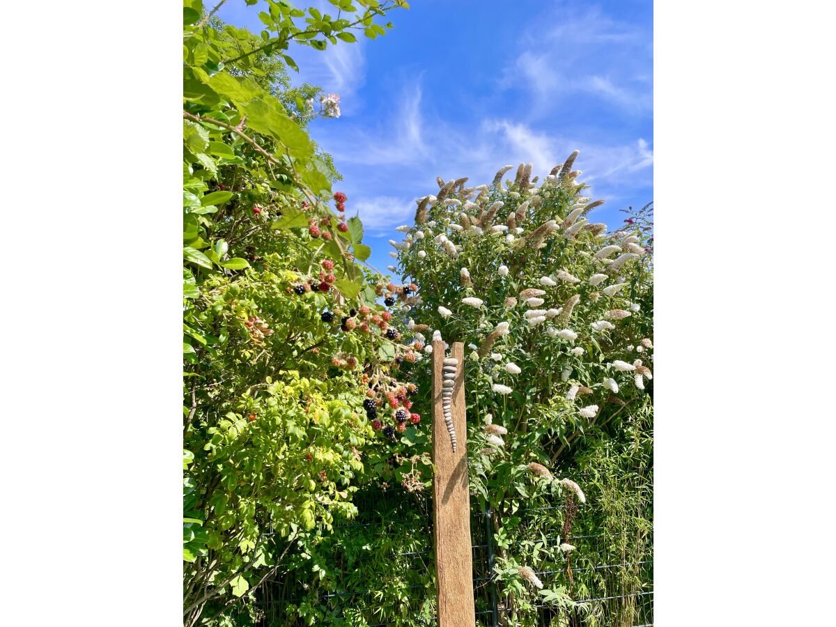 Holiday house Miama - Outdoor photo 5