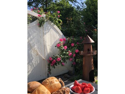 Holiday house Miama - Outdoor photo 4