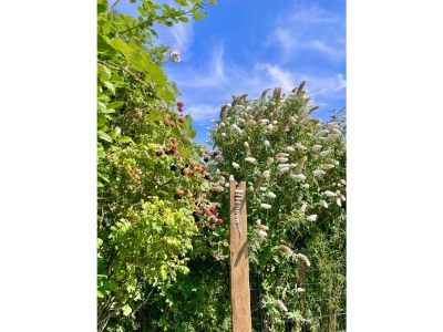 Holiday house Miama - Outdoor photo 5