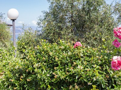 Apartment Amazing sea view in Santa Margherita - Outdoor photo 3