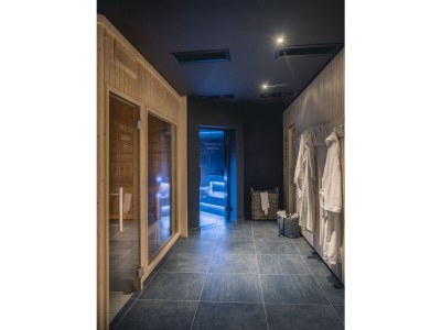 Holiday apartment Birkhuhn & SPA 1 - Outdoor photo 6