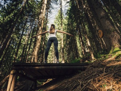 Holiday apartment Birkhuhn & SPA 1 - Environment photo 12