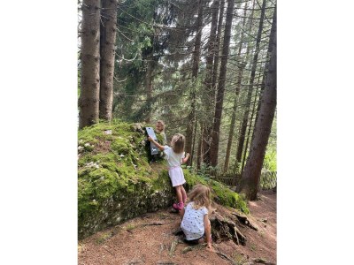 Holiday apartment Birkhuhn & SPA 1 - Environment photo 14