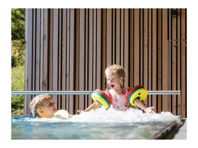 Holiday apartment Birkhuhn & SPA 1 - Environment photo 15