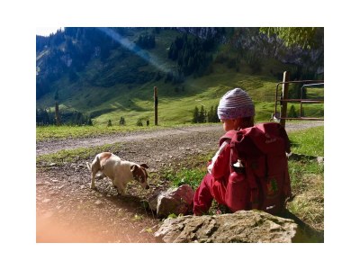 Holiday apartment Birkhuhn & SPA 1 - Environment photo 17