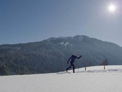 Holiday apartment Birkhuhn & SPA 1 - Environment photo 19