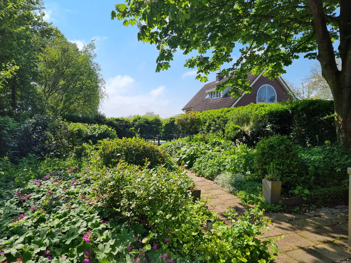 Holiday house OK41 Holiday home for families with a dog - Outdoor photo 5