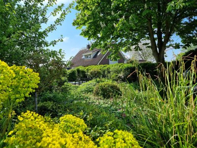 Holiday house OK41 Holiday home for families with a dog - Outdoor photo 6