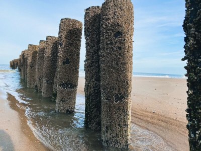 Holiday house OK41 Holiday home for families with a dog - Environment photo 30