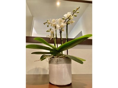 Holiday apartment Bernadette - Features photo 10