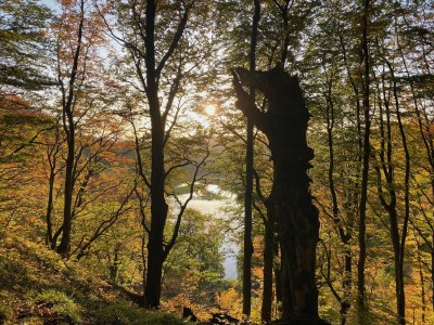 Holiday apartment No title - Environment photo 39