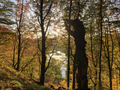 Holiday apartment No title - Environment photo 38