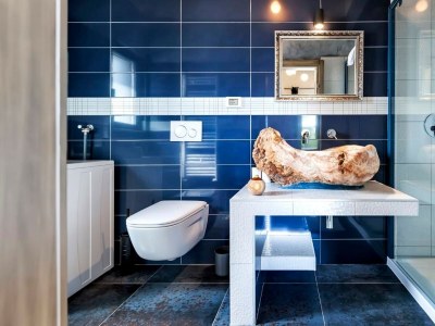 Villa Baraka near Rovinj, western Istria - Features photo 26