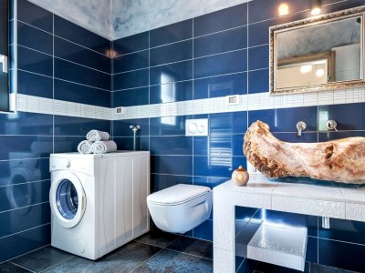 Villa Baraka near Rovinj, western Istria - Features photo 27