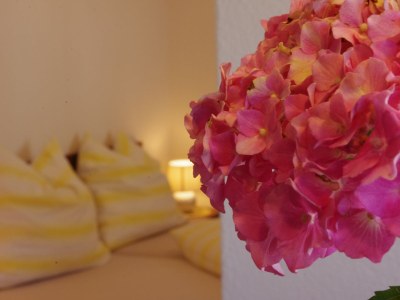 Holiday house House Kopp-Haun - Features photo 17