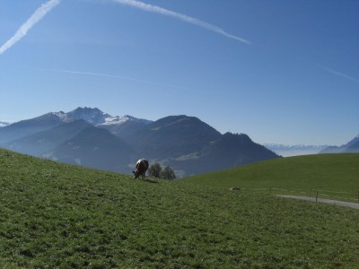 Holiday house House Kopp-Haun - Environment photo 19