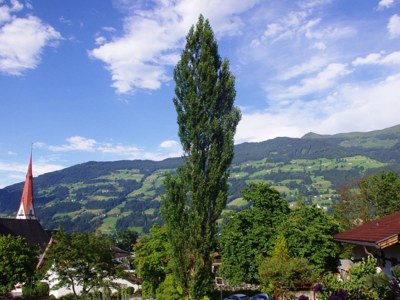 Holiday house House Kopp-Haun - Environment photo 23