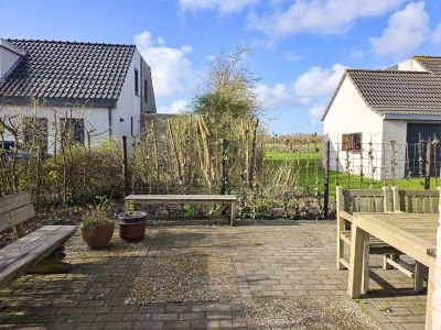 Holiday house VR03 Ferienhaus Breezand mit Hund - Outdoor photo 5