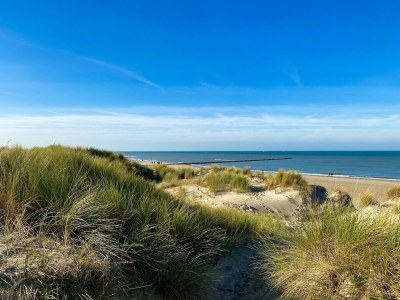 Holiday house VR03 Ferienhaus Breezand mit Hund - Environment photo 27