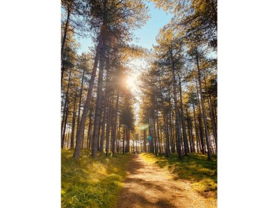 Holiday house VR03 Ferienhaus Breezand mit Hund - Environment photo 28