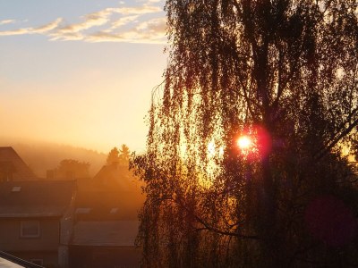 Holiday apartment : chic, modern and extraordinary - Environment photo 24