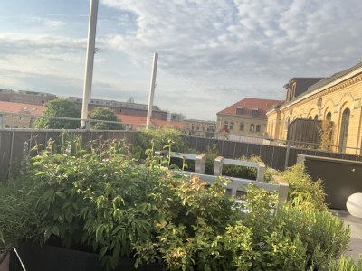 Apartment König Albert Residenz - Outdoor photo 7