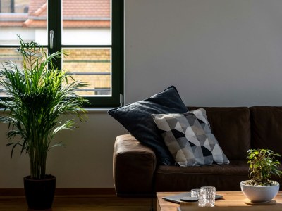 Apartment König Albert Residenz - Features photo 11