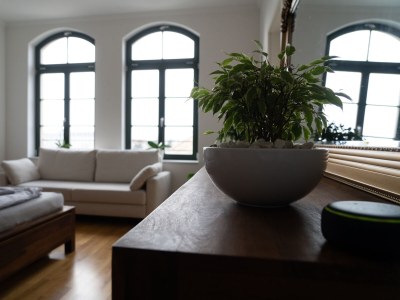 Apartment König Albert Residenz - Features photo 25
