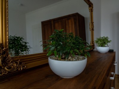 Apartment König Albert Residenz - Features photo 27