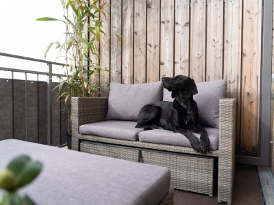 Apartment König Albert Residenz - Features photo 35