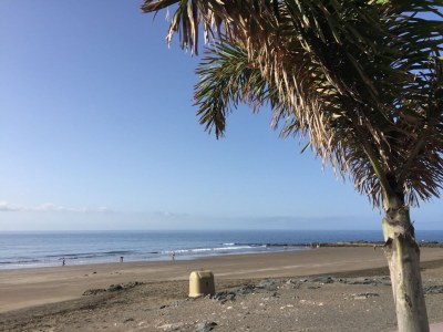 Bungalow Hibiscus II - Environment photo 29