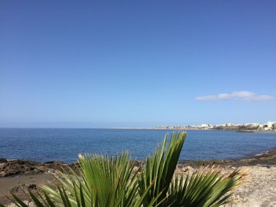 Bungalow Hibiscus II - Environment photo 30