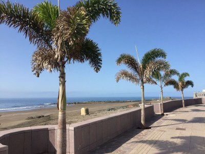 Bungalow Hibiscus II - Environment photo 32