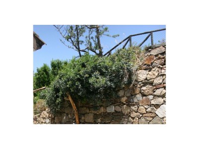 Villa Villa Sea and Dune of Bithia - Outdoor photo 3