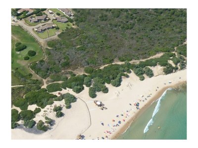 Holiday house Bithia 5, ...dune, mare, verde - Environment photo 26