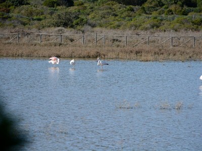 Holiday house Residenze di Bes - Environment photo 23