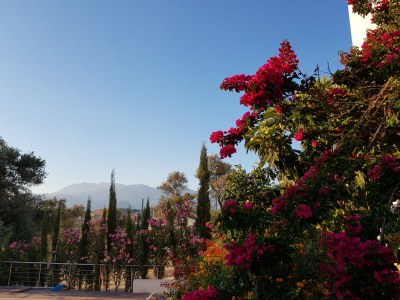 Holiday house No title - Outdoor photo 11