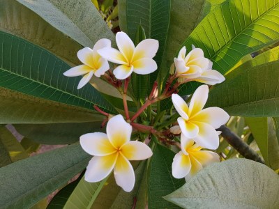 Holiday house No title - Outdoor photo 14