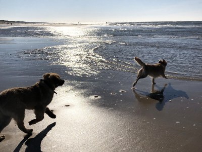 Holiday house De Keizerskroon 2 - Environment photo 17