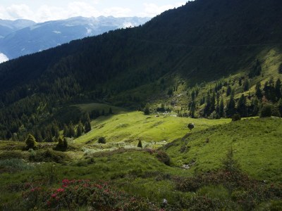 Holiday apartment Anna - Environment photo 16