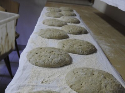 Chalet Chalet Perlungerhof - Environment photo 14